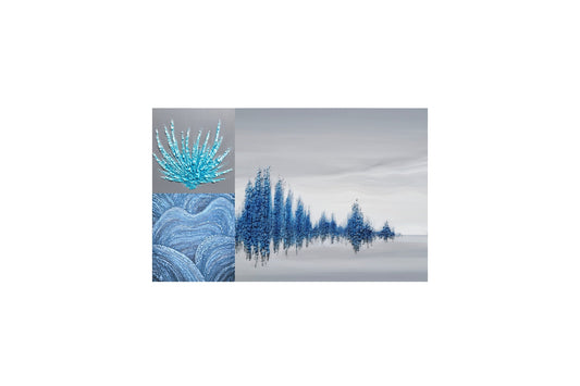 Les collections qui m’animent…