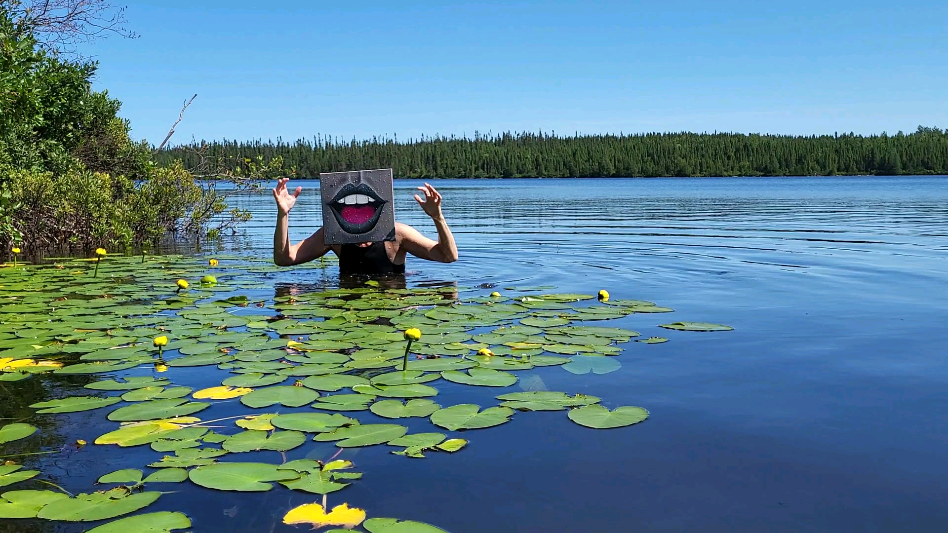 Charger la vidéo : 