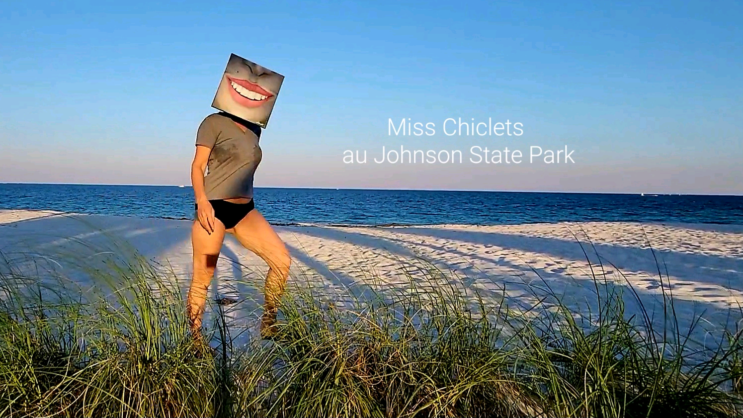 Charger la vidéo : 